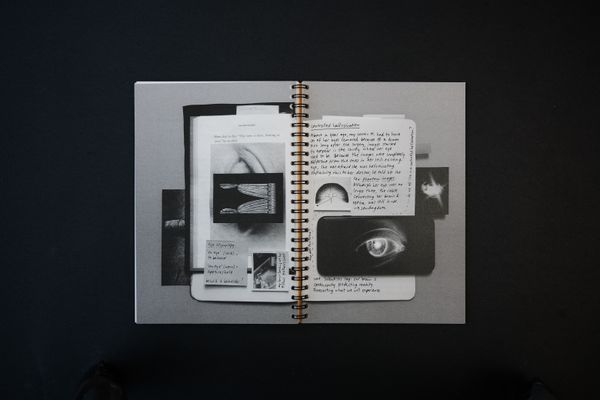 ISSUE THREE